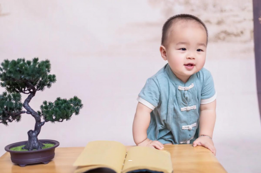 洛阳可爱的企鹅宝宝